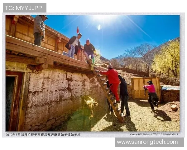 昌都足球球星风采展现与成就分析